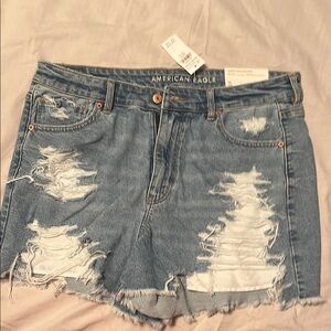 American Eagle Outfitters Distressed Light Blue Jean Shorts